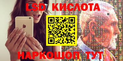 прущие грибы Бийск