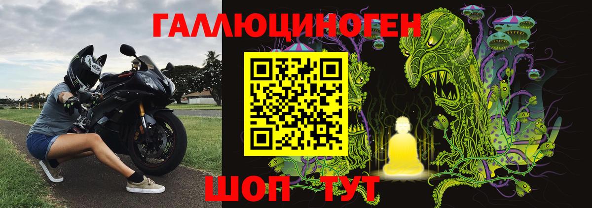 Галлюциногенные грибы Psilocybine cubensis Карачаевск